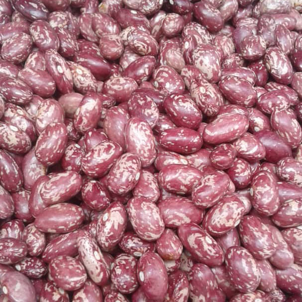 ALNABAWI%20AGRO%20PRODUCTS