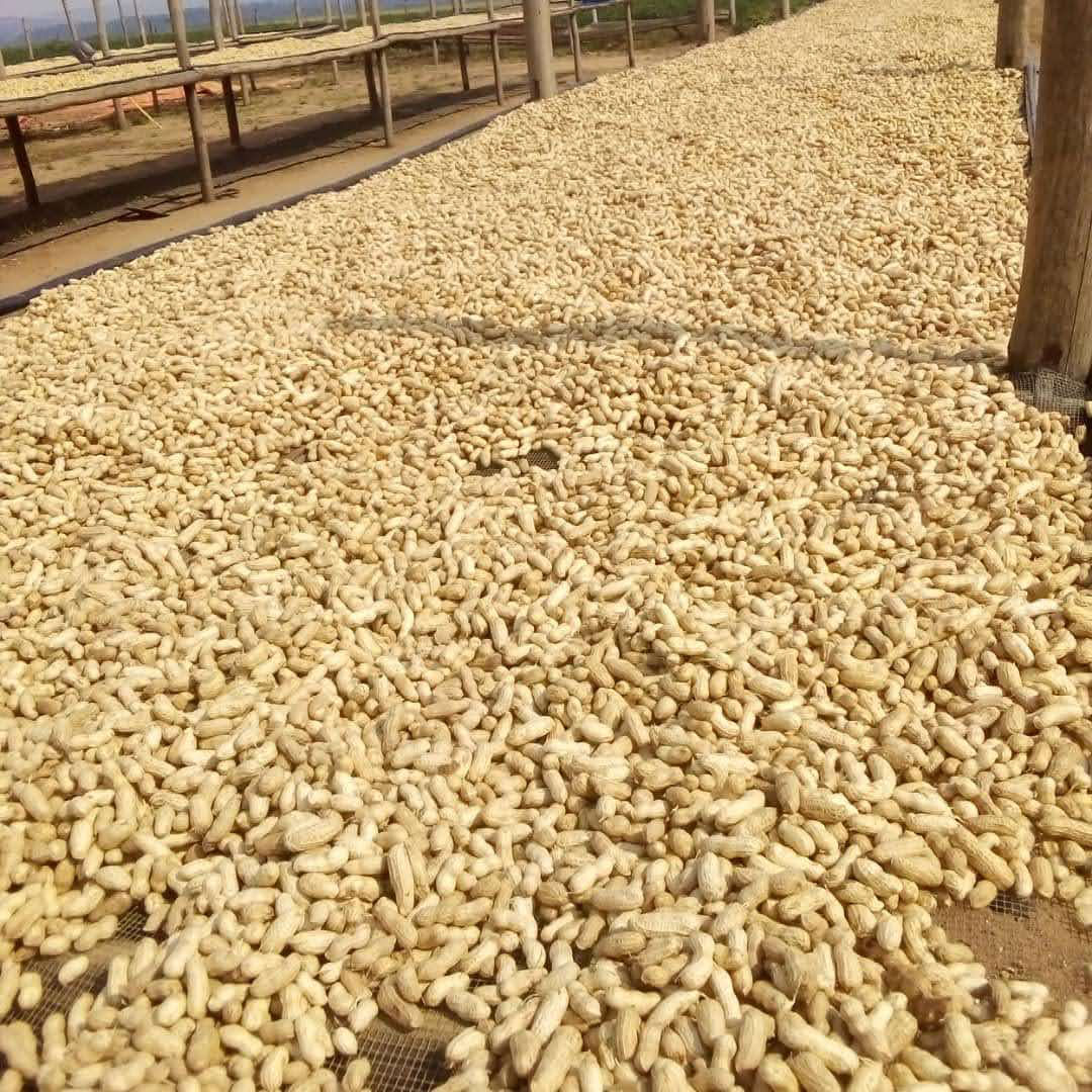 ALNABAWI%20AGRO%20PRODUCTS