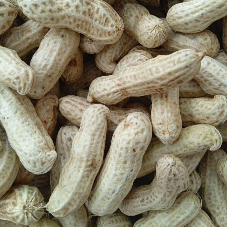 ALNABAWI%20AGRO%20PRODUCTS