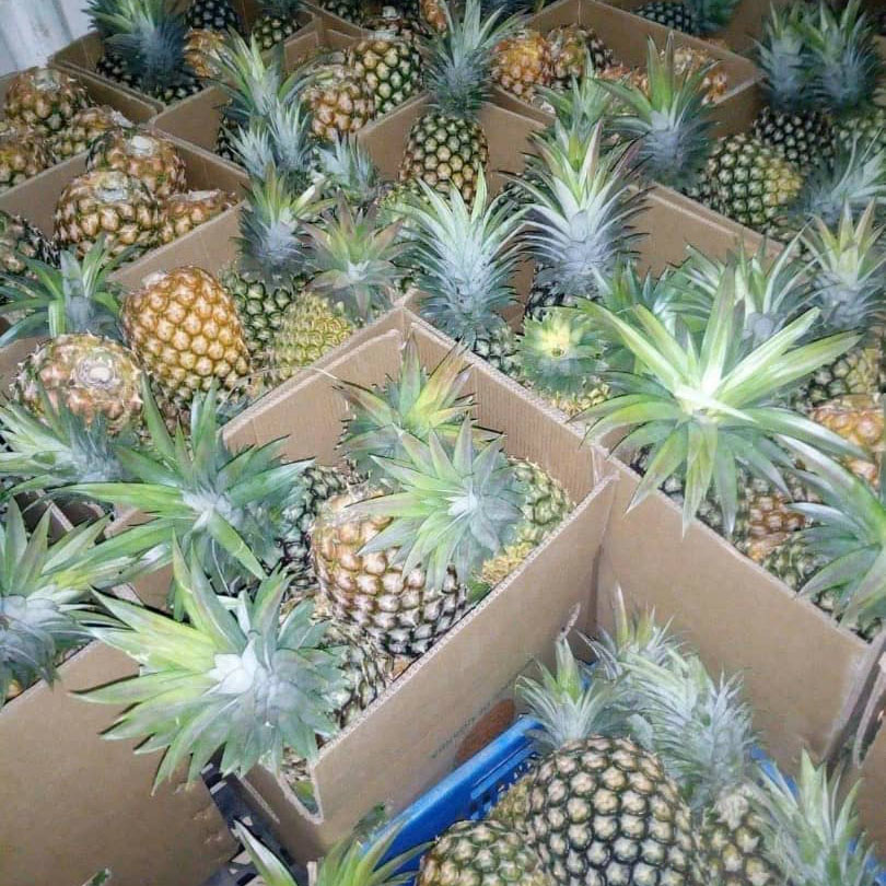 ALNABAWI%20AGRO%20PRODUCTS