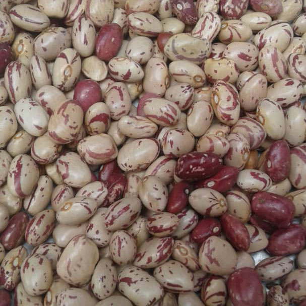 ALNABAWI%20AGRO%20PRODUCTS