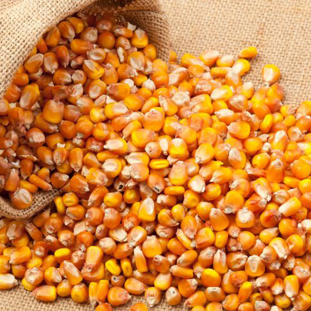 ALNABAWI%20AGRO%20PRODUCTS